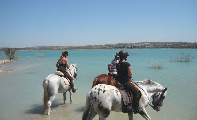 Pferde an der Lagune